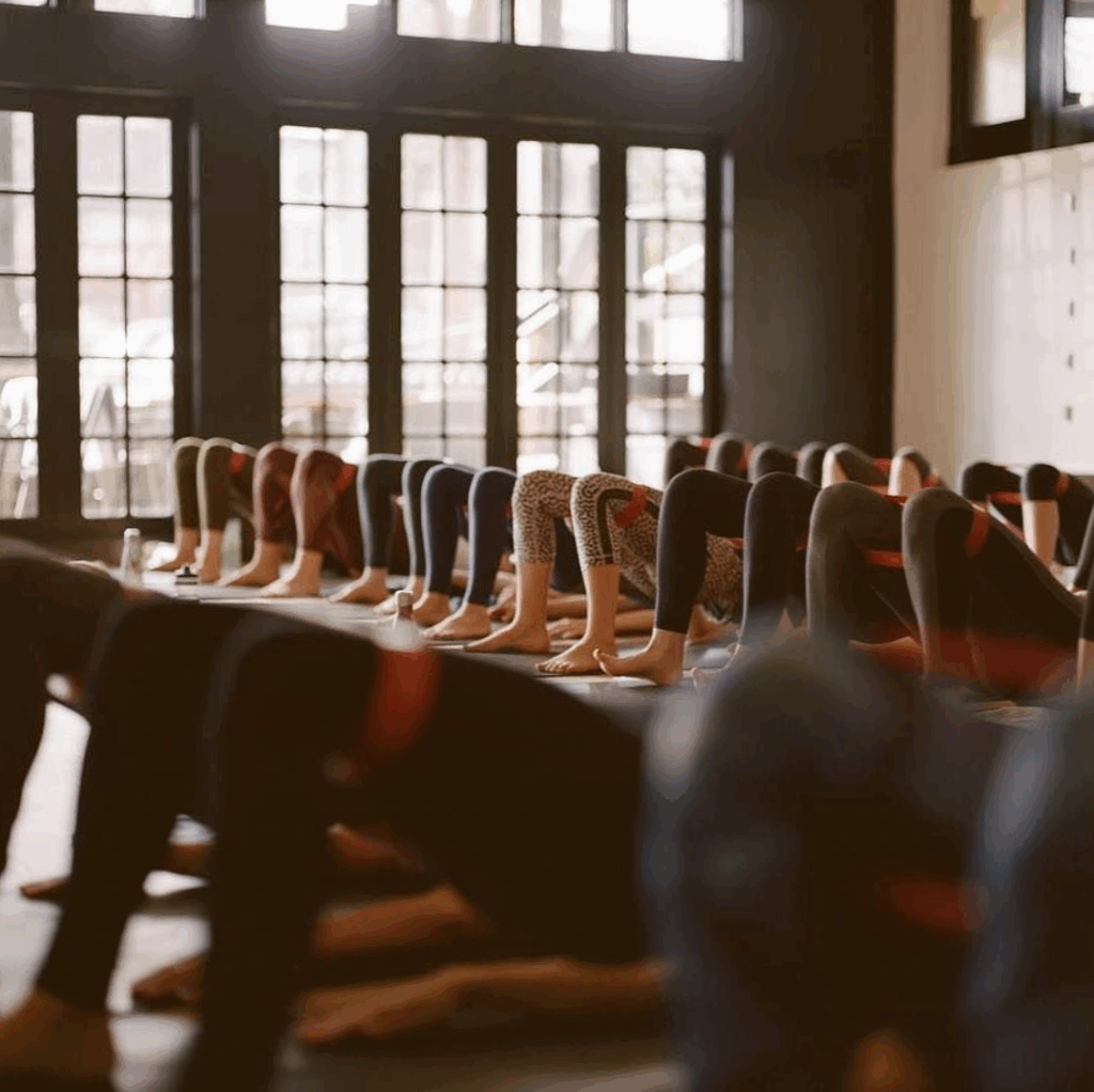 screen-shot-2018-11-08-at-10-52-46-am