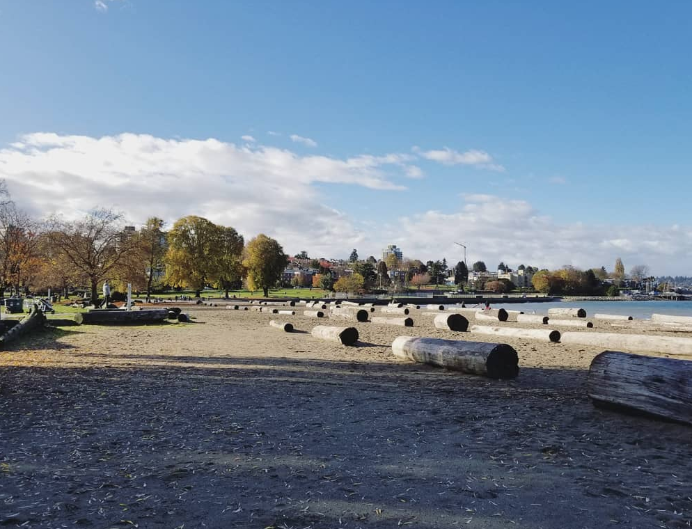 screen-shot-2018-11-08-at-10-59-12-am